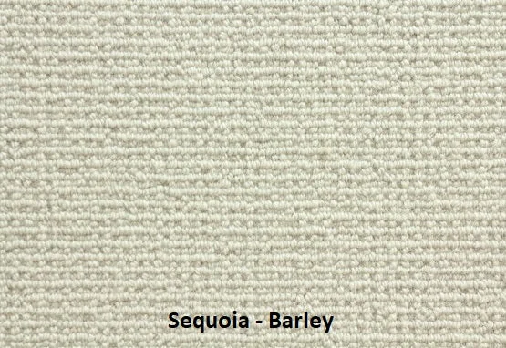 Stanton Broadloom Wool Carpet Sequoia – 13 ft 2 in wide