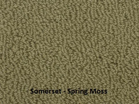 Spring Moss - Per Lineal Foot (1'x12')